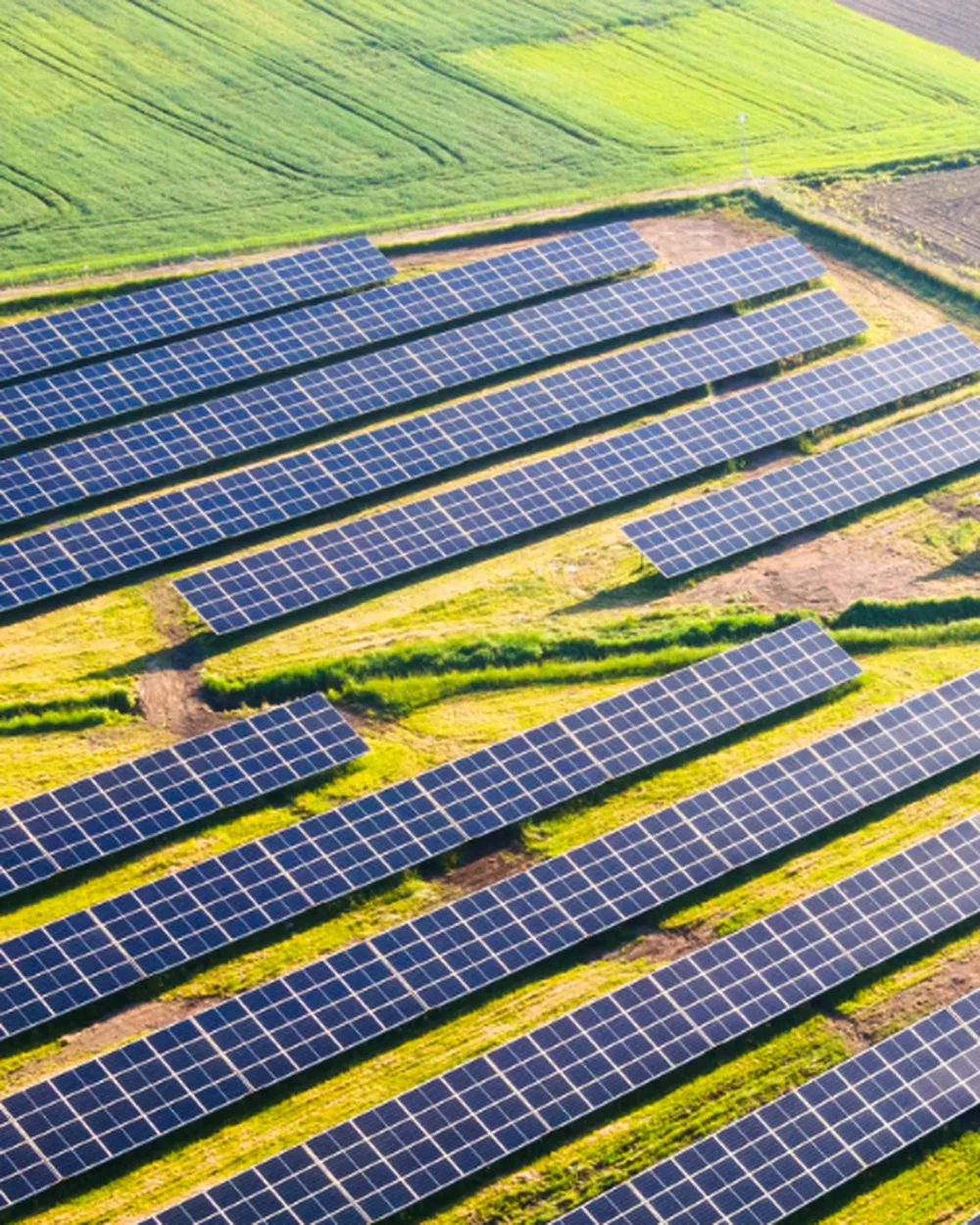 Vista aérea da usina solar da SV Energias Renováveis: fileiras de painéis fotovoltaicos em campo aberto no Vale do Paraíba